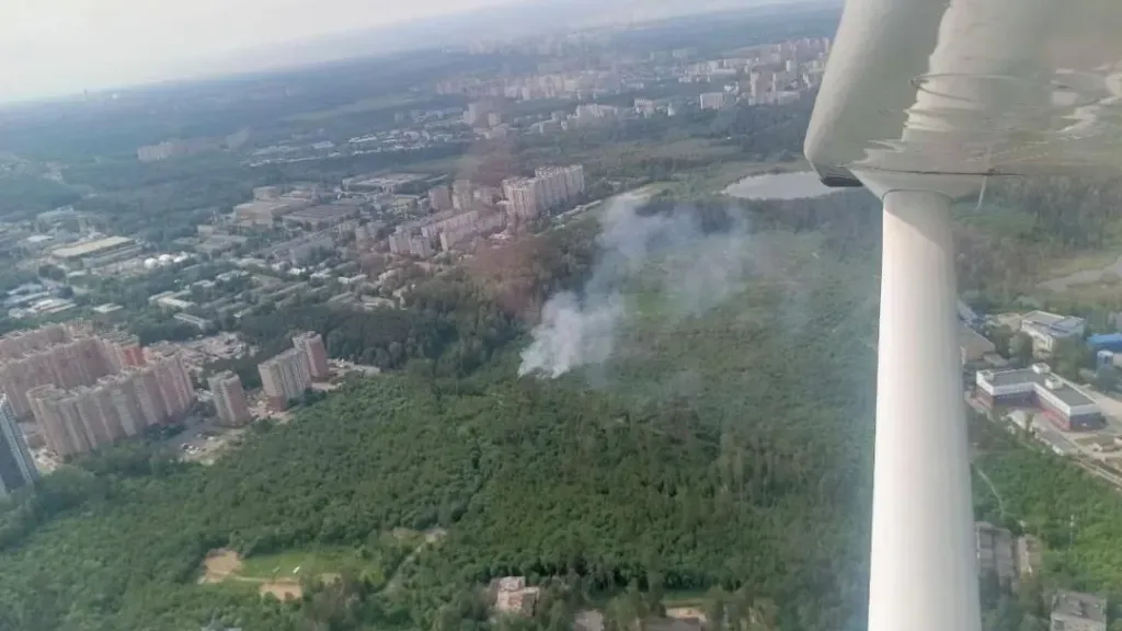 В лесах Подмосковья спрогнозировали II класс пожарной опасности