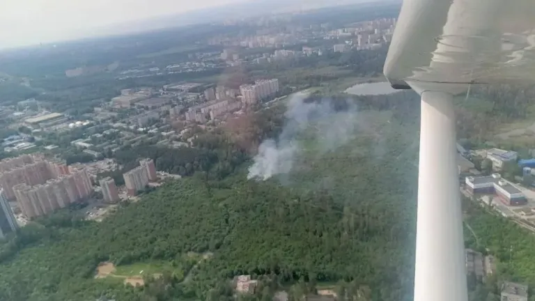 В лесах Подмосковья спрогнозировали II класс пожарной опасности