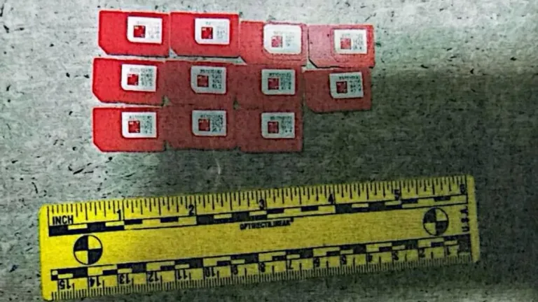 В Красногорске осудили мужчину за пропуск трафика через SIM-банки
