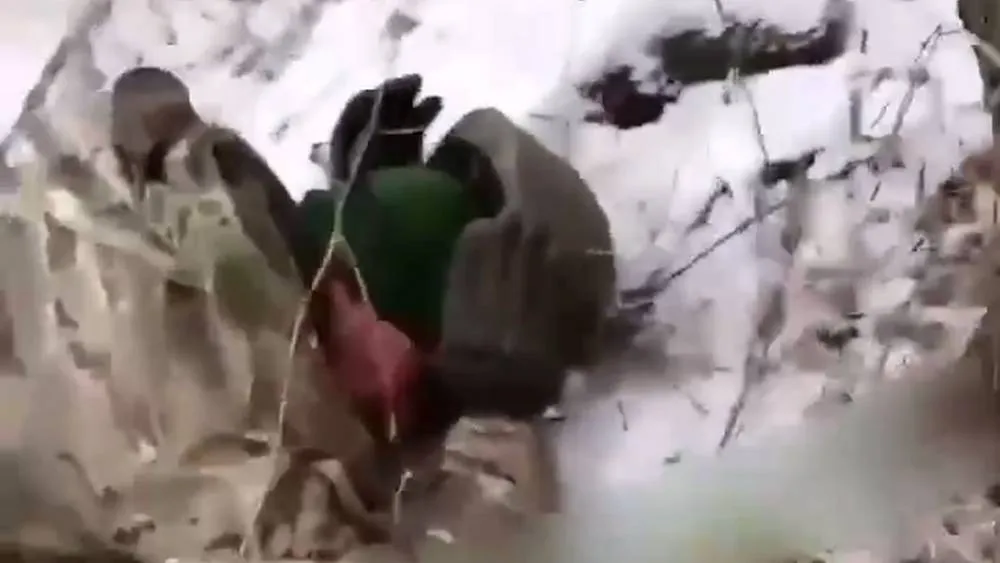Военкор заявил о казни российских пленных украинскими военными